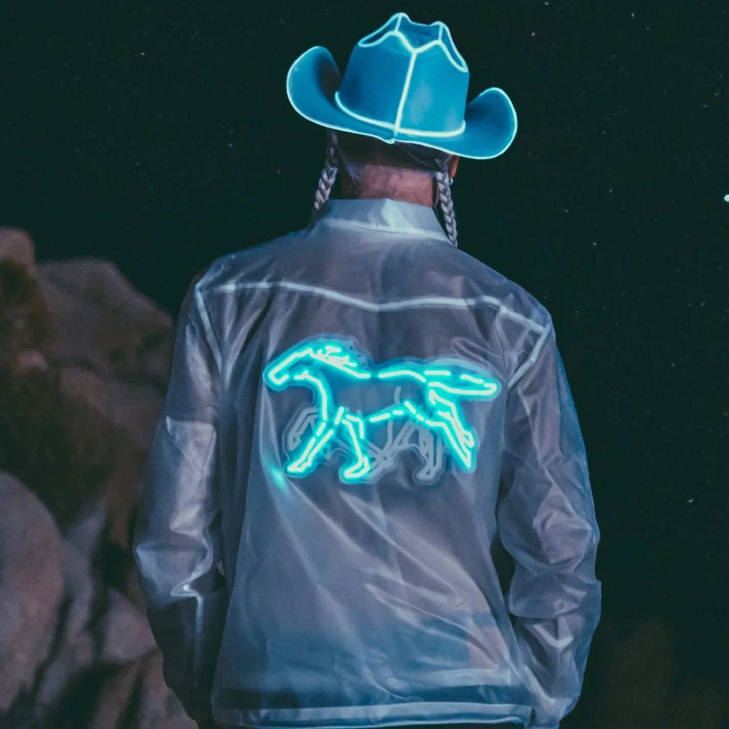 Animated Horse Jacket