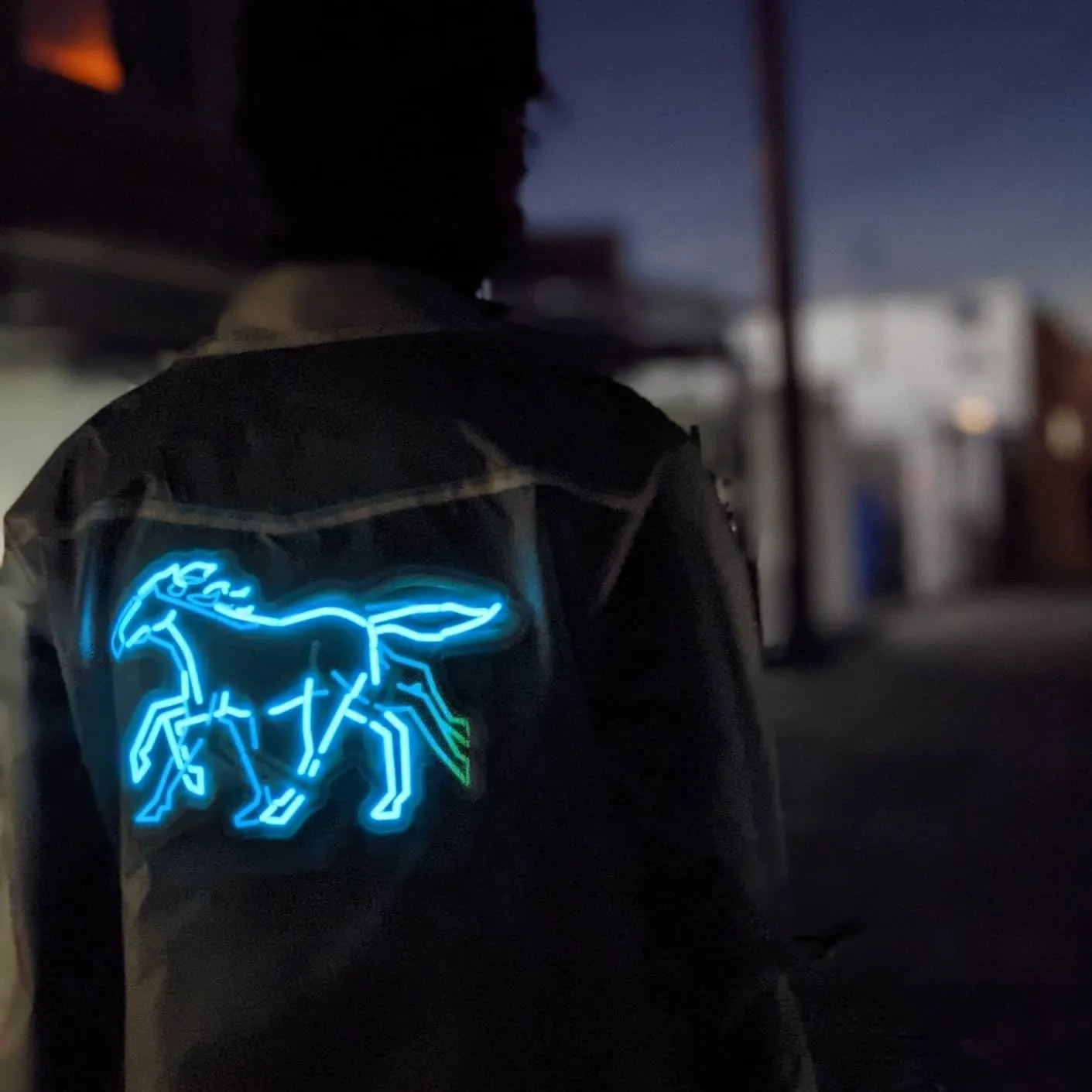 Animated Horse Jacket