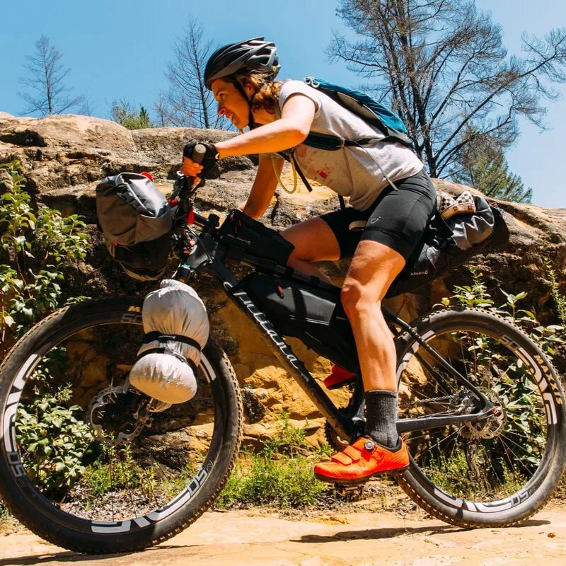 Blackburn Outpost Bike Bags