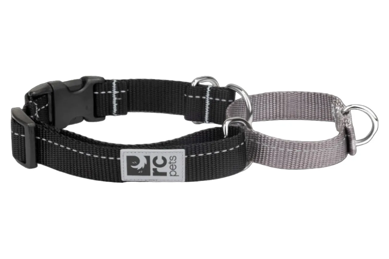 RC Pets Primary Web Training Clip Collar