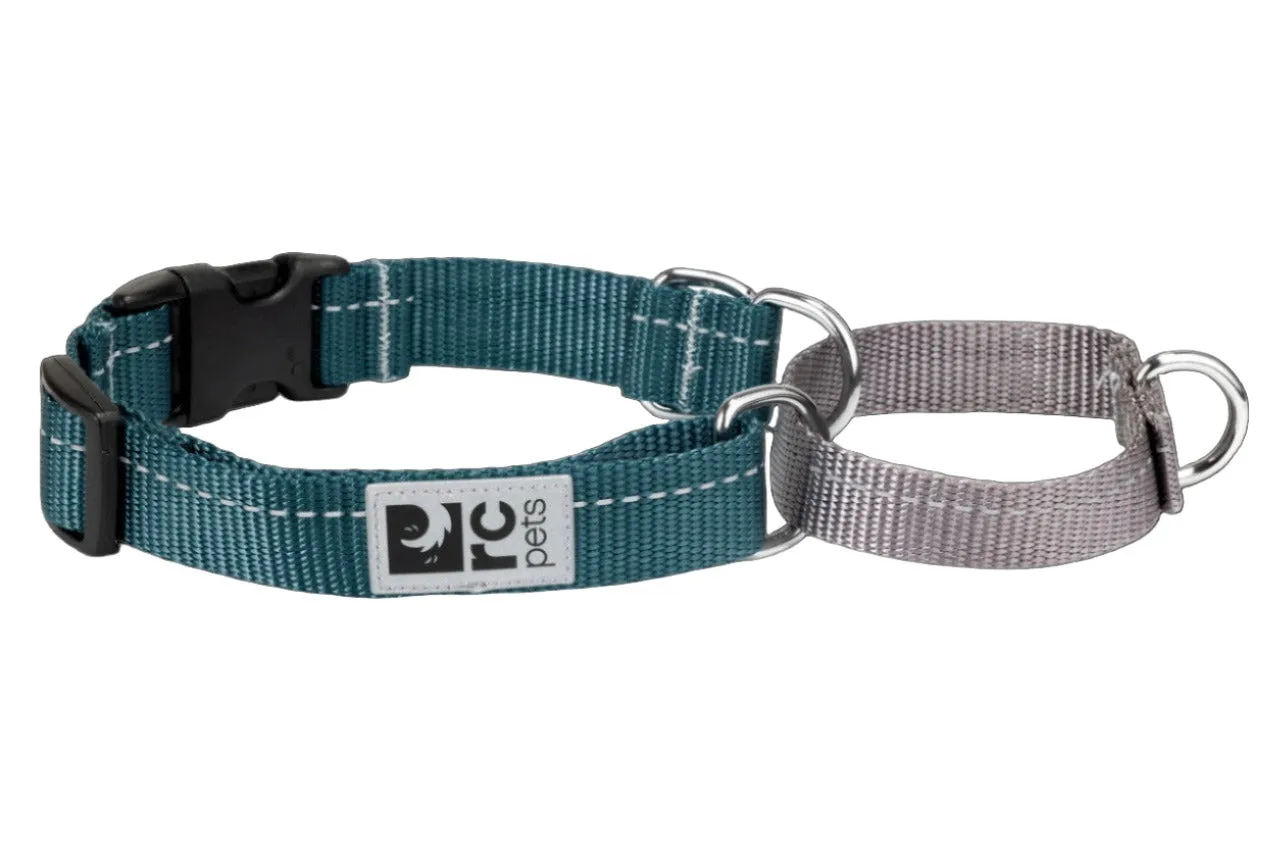 RC Pets Primary Web Training Clip Collar