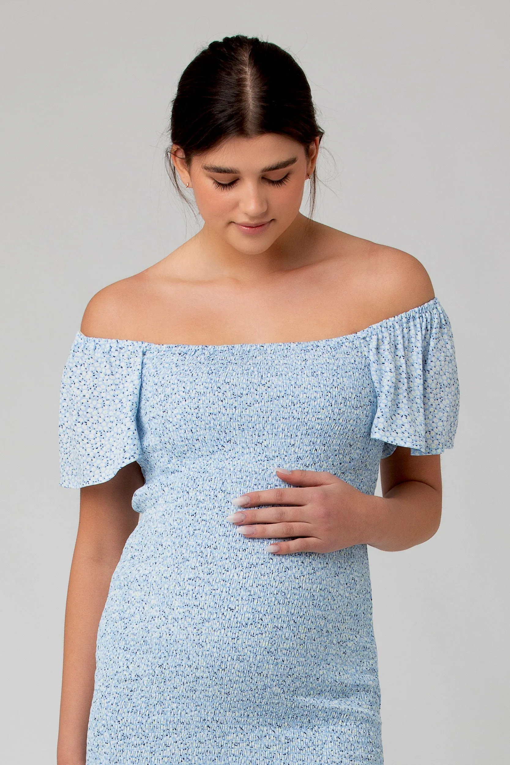 Selma Fitted Maternity and Nursing Dress In Pale Blue